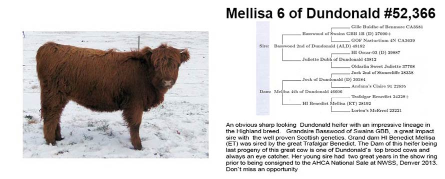 Mellisa6 Still Available