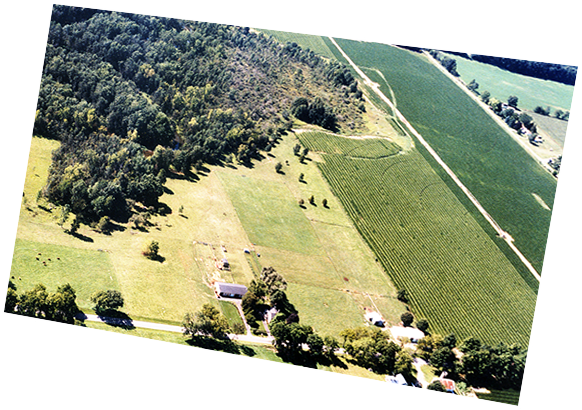 Arial View of Dundonald Farm