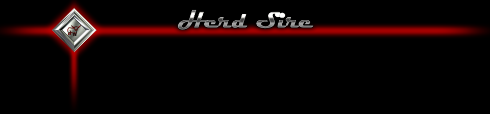Masthead