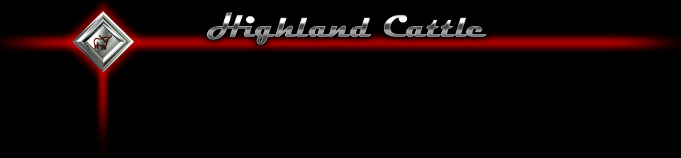 Masthead