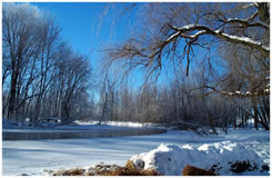 Winter at the River
