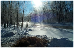 Winter Morning